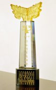 赛文被评为“2011年度行业领军品牌”